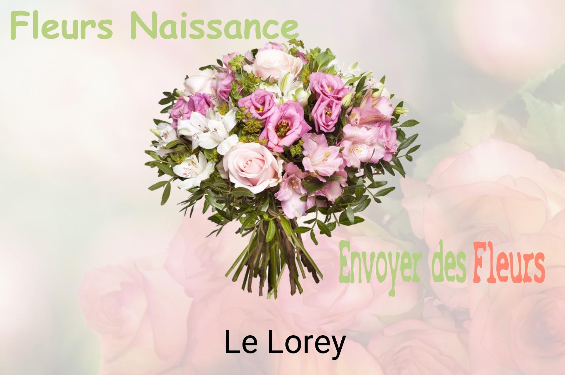 Bouquet de fleurs de naissance livré à Le Lorey